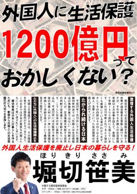 堀切笹美 外国人生活保護 討議資料